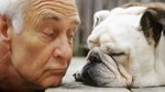 The worst things about pets