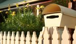 Who steals a letterbox?