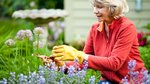 Save the planet with a garden