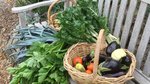 The perfect vegies for a small space