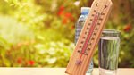 Could you recognise the symptoms of heat exhaustion and stroke? Why climate...