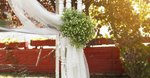 A wedding, a will, a bushfire and a baby: This book has it all