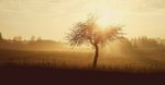 Thirty-two months that changed my life