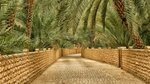 ‘My wonderful Middle Eastern experience’