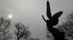 ‘Light up the dark! Why we need more fairy finery at funerals’