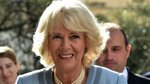 Camilla shares new portrait, as poll shows she’s never been more popular