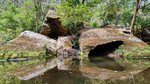 ‘Lane Cove National Park: A hidden gem for cyclists and photographers’