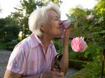 Here’s how to pick the best rose variety for you and your garden