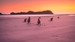 Welcome, Australia