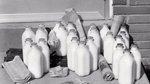 We Baby Boomers set the eco-friendly standard before it was trendy