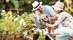 A gardener’s guide to springtime prep