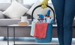 From DDT to Mr Sheen: Looking back on the spring cleaning products of...