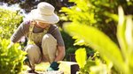 Must-have nifty tools for all gardeners