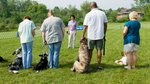 In the dog house: Dog trainer reveals the dog breeds that wouldn’t make it...