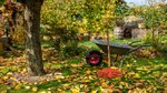 Autumn garden maintenance: Keep your garden thriving through the colder months