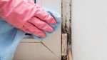 The hidden health risks of household mould revealed