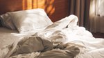 The extremely smart and slightly gross argument for not making your bed every...