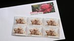 Postage price increase gets watchdog’s stamp of approval