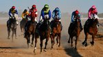 Through Hill and high water, Birdsville races on