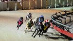 Lights go out on Dapto Dogs