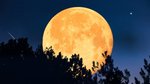 No cities on the Moon – there isn’t enough water, scientists say 