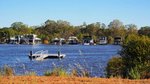 Alarm bells as Murray declared critically endangered