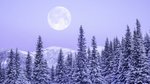 February’s Snow Moon in Leo brings fiery emotions, power struggles and...