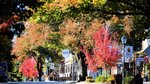 Five wineries worth the drive: a perfect day (or two) in the Adelaide Hills