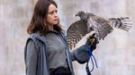 This week at the movies: Claire Foy and a hawk that will break your heart,...