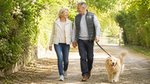 Walking for rewards: could it work here?