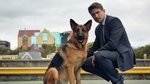 What to Stream This Week: A Casino Heist, The Gentlemen’s Return, and Thelma...