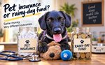 Pet insurance or rainy-day fund: Which really leaves you better off?