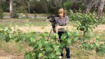 Village to Villa: Who could resist a day amongst the vines?