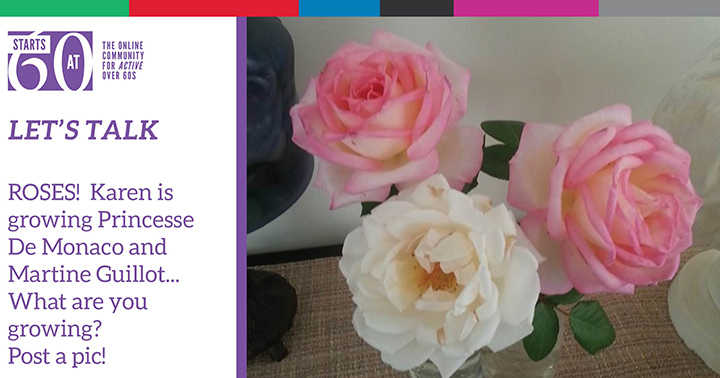 Let’s Talk: Your roses are blooming - Starts at 60