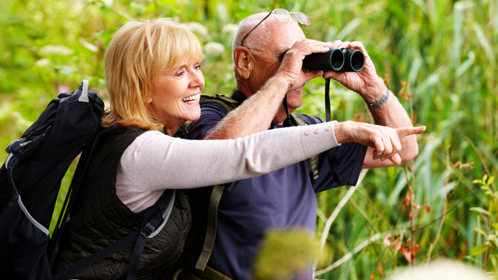 Daily Joke An Unexpected Bird Watching Experience Starts At 60 Daily Joke An Unexpected Bird Watching Experience Starts At 60