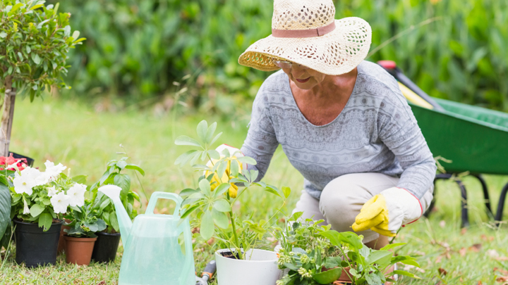 7 common gardening mistakes to avoid this spring - Starts at 60