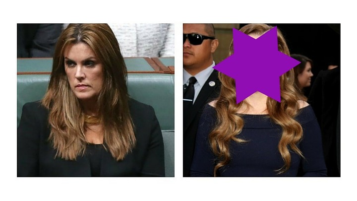 Everyone is saying Peta Credlin looks just like this celeb ...