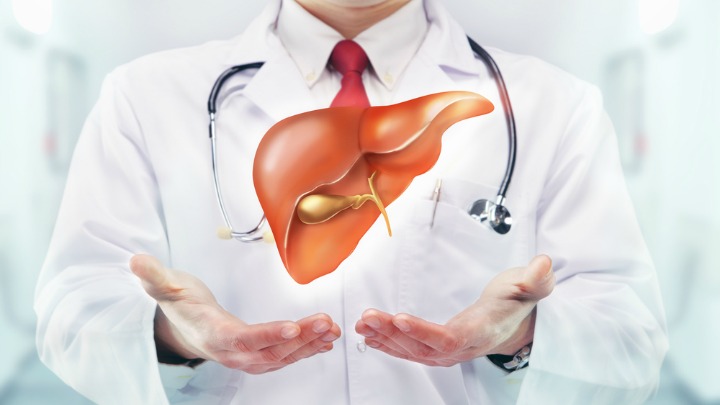 How To Repair And Reverse Fatty Liver Starts At 60