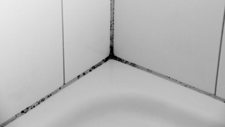How To Remove Black Mould From The Grout Effortlessly Starts At 60 - How To Remove Black Mold From Bathroom Grout How To Remove Black Mould From The Grout Effortlessly Starts At 60 - How To Remove Black Mold From Bathroom Grout