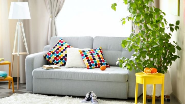 How To Clean Your Couch Without A Steam Cleaner Starts At 60 Couch Without A Steam Cleaner