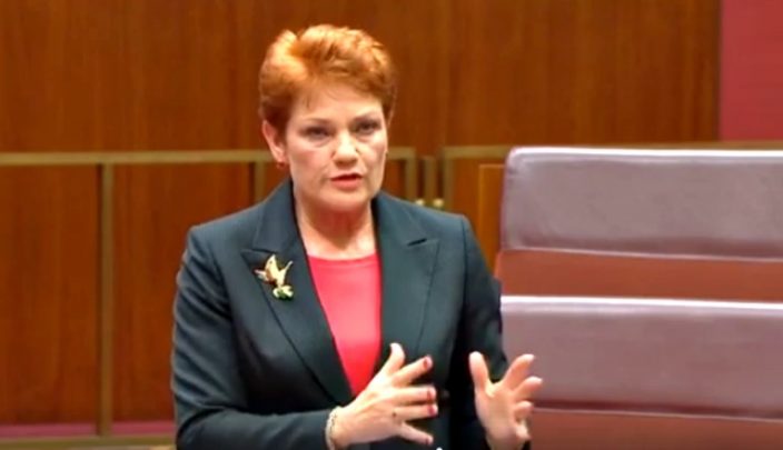 Comedian gets agro with Pauline Hanson over photo - Starts at 60