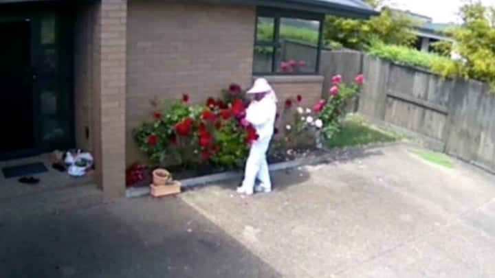 Neighbourly sin: Woman caught stealing roses from front ...