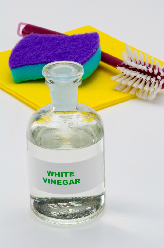 Using vinegar is another great way to keep ants away.