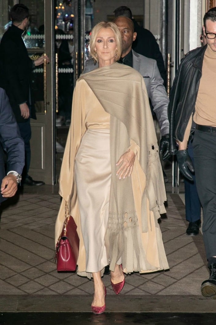 Photos of Céline Dion's Best Outfits of 2019