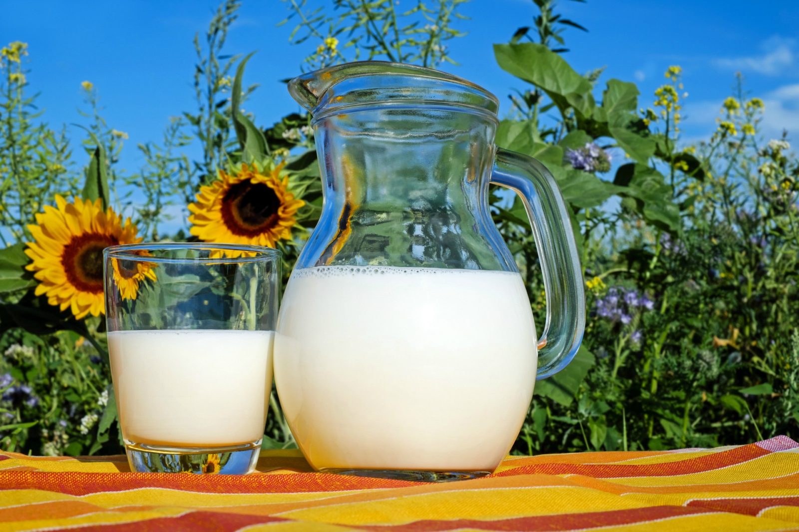 Opt for low-fat and unsweetened options when it comes to milk and dairy.