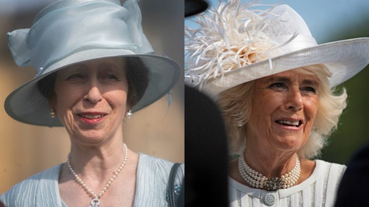 Princess Anne and Camilla dress to 
