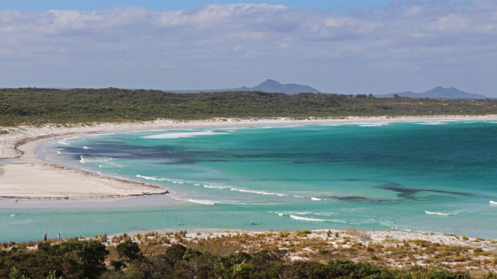 ‘I went in search of killer whales in Bremer Bay, Western Australia