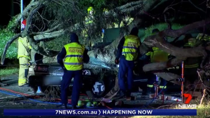 ‘Like a bomb going off’: Woman dies after tree falls on car amid wild ...