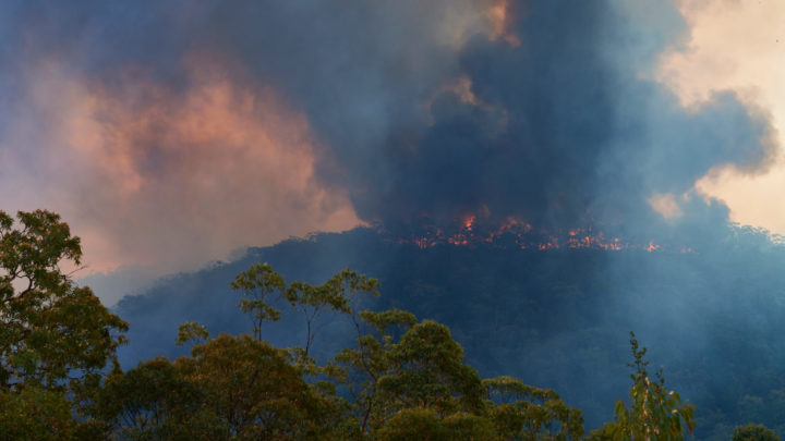 Bushfire Death Toll Rises To Four As Locals Discover Body In Burnt-out ...