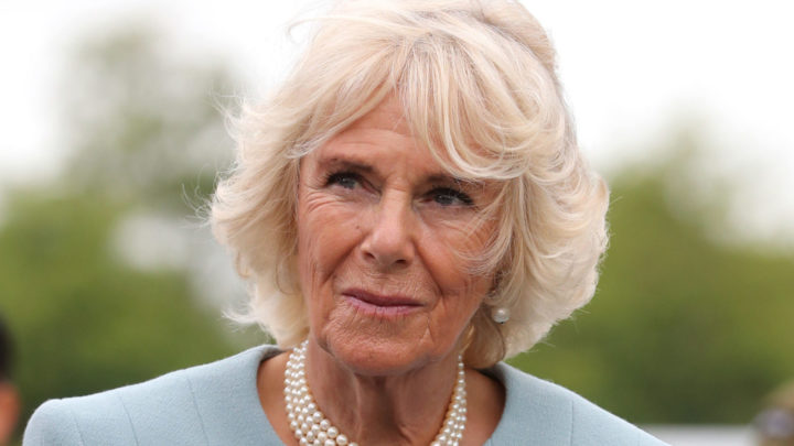 Camilla cuts elegant figure in powder blue skirt suit as she lands in ...